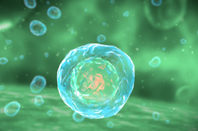 TREG CELL THERAPY 이미지